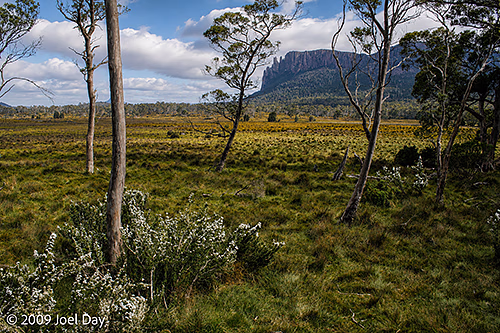 View of Mount Oakleigh (1286m) from the Pelion Hut on the Overland Track in Tasmania