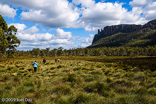 Hiking across buttongrass moorlands on the way to Mount Oakleigh (1286m) near the Overland Track in Tasmania