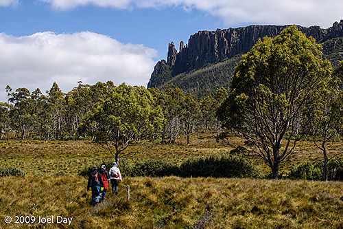 Hiking across buttongrass moorlands on the way to Mount Oakleigh (1286m) near the Overland Track in Tasmania