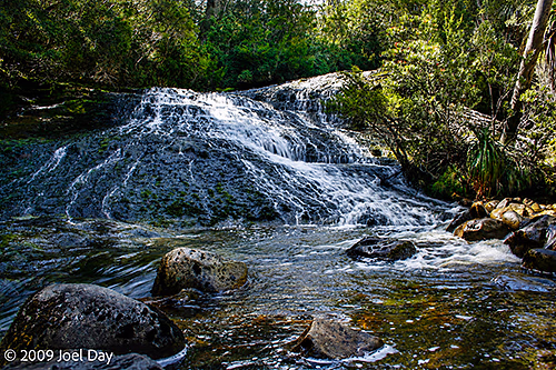 Douglas Creek along the Pelion to Kia Ora segment of the Overland Track in Tasmania
