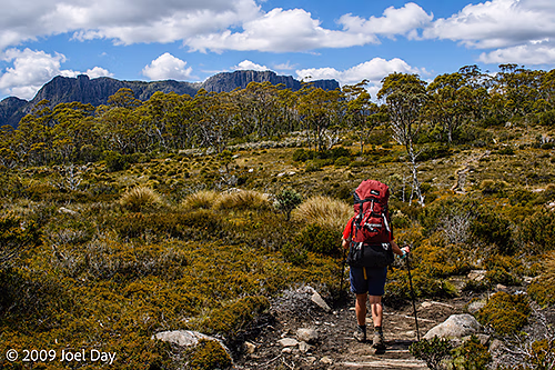 Hiker along the Pelion to Kia Ora segment of the Overland Track in Tasmania
