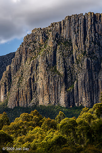 Eucalypt Forest and Mountains along the Pelion to Kia Ora segment of the Overland Track in Tasmania