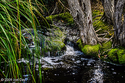 Creek along the Pelion to Kia Ora segment of the Overland Track in Tasmania