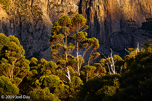 View of Mount Massif (1514m) from the Kia Ora Hut along the Overland Track in Tasmania