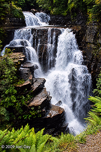 D'Alton Falls along the Kia Ora to Windy Ridge segment of the Overland Track in Tasmania