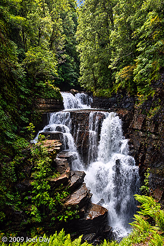 D'Alton Falls along the Kia Ora to Windy Ridge segment of the Overland Track in Tasmania