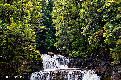 D'Alton Falls along the Kia Ora to Windy Ridge segment of the Overland Track in Tasmania