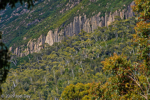Eucalypt Forest and Mountains along the Windy Ridge to Narcissus segment of the Overland Track in Tasmania