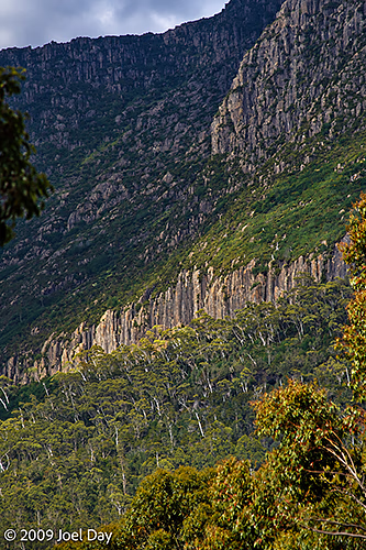 Eucalypt Forest and Mountains along the Windy Ridge to Narcissus segment of the Overland Track in Tasmania