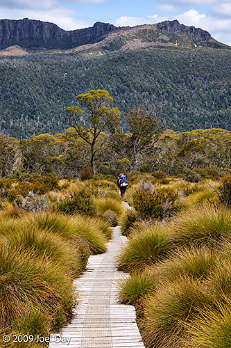 Eucalypt forest, buttongrass plains, and mountains along the Windy Ridge to Narcissus segment of the Overland Track in Tasmania