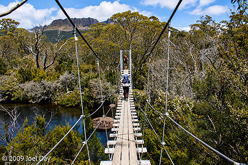 Hikers crossing the suspension bridge across the Narcissus River on the Windy Ridge to Narcissus segment of the Overland Track in Tasmania