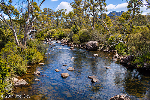 The Narcissus River on the Windy Ridge to Narcissus segment of the Overland Track in Tasmania