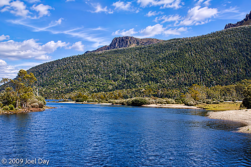 Eucalypt Forest and Mountains along Lake St Clair at the southern end of the Overland Track in Tasmania