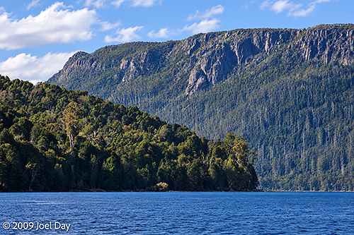 Eucalypt Forest and Mountains along Lake St Clair at the southern end of the Overland Track in Tasmania