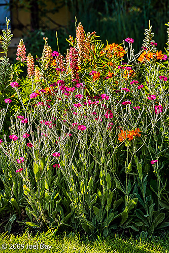 Gardens of the Port Arthur Historic Site, Tasman Peninsula, Tasmania