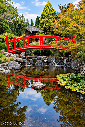 Japanese Garden, Royal Tasmanian Botanical Gardens, Hobart, Tasmania