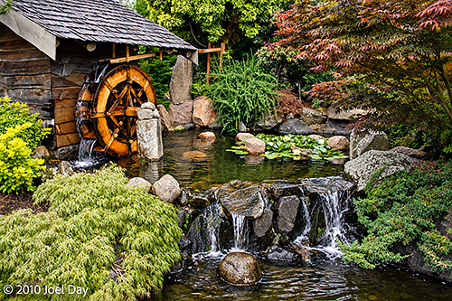 Japanese Garden, Royal Tasmanian Botanical Gardens, Hobart, Tasmania