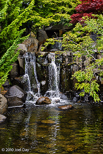 Japanese Garden, Royal Tasmanian Botanical Gardens, Hobart, Tasmania