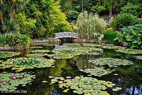 Japanese Garden, Royal Tasmanian Botanical Gardens, Hobart, Tasmania