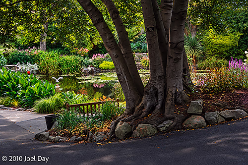 Royal Tasmanian Botanical Gardens, Hobart, Tasmania