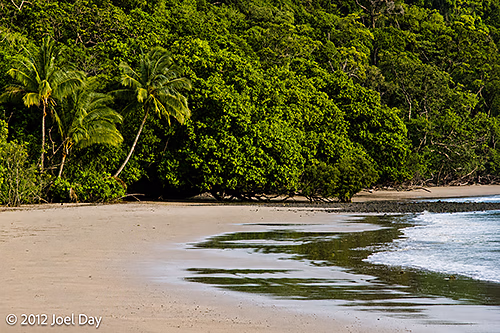 Cape Tribulation, Daintree National Park, Queensland
