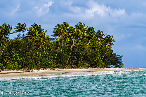 Cape Tribulation, Daintree National Park, Queensland
