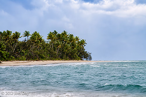 Cape Tribulation, Daintree National Park, Queensland