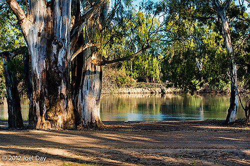 Murray River, near Loxton, South Australia