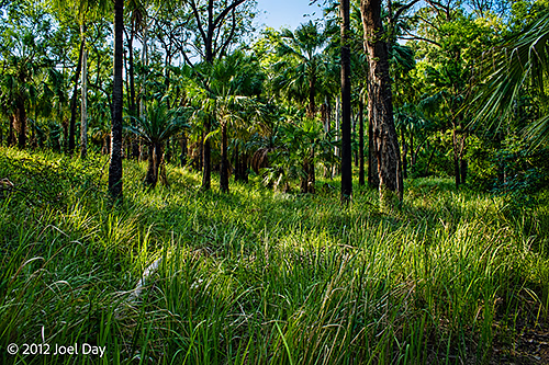 Carnarvon National Park, Queensland
