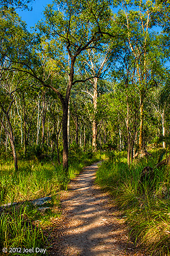 Carnarvon National Park, Queensland
