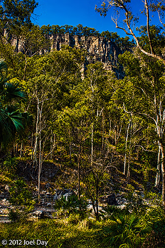 Carnarvon National Park, Queensland