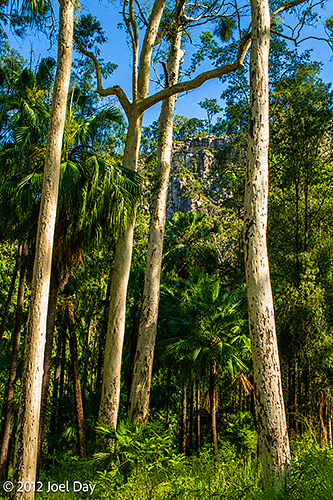 Carnarvon National Park, Queensland