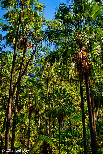 Carnarvon National Park, Queensland