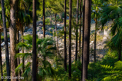 Carnarvon National Park, Queensland