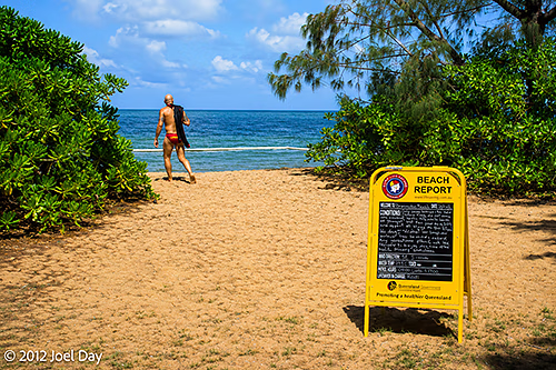Lifeguard at Bramston Beach, Queensland, overseeing the stinger net