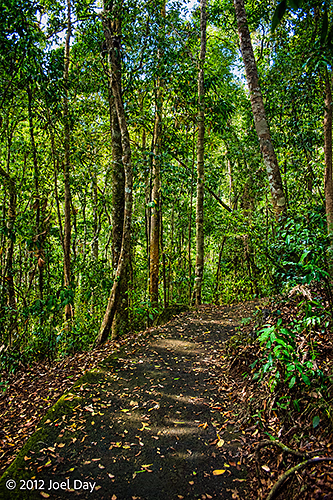 Crater Track Walk into The Hypipamee Crater in the Atherton Tablelands outside Cairns, Queensland