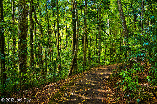 Crater Track Walk into The Hypipamee Crater in the Atherton Tablelands outside Cairns, Queensland