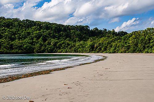 Cape Tribulation, Daintree National Park, Queensland