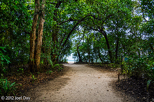 Path to beach at Cape Tribulation, Daintree National Park, Queensland