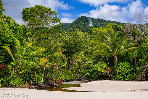 Cape Tribulation, Daintree National Park, Queensland