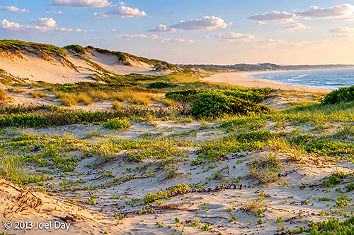 Mungo Beach, Myall Lakes National Park, New South Wales, at Dawn 