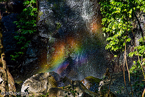 Rainbow over falls in Bunya Mountains National Park, Queensland