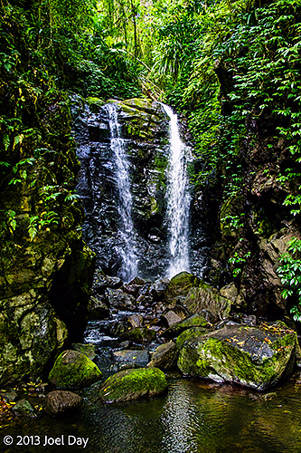 Waterfall in rainforest at Lamington National Park, Queensland