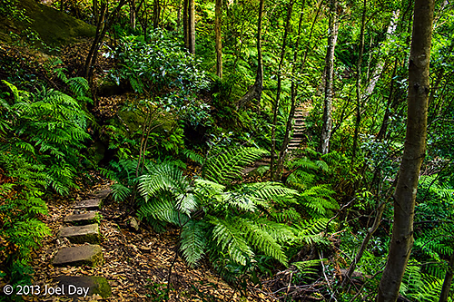 View of National Pass Trail along cliffs of the Blue Mountains National Park, New South Wales