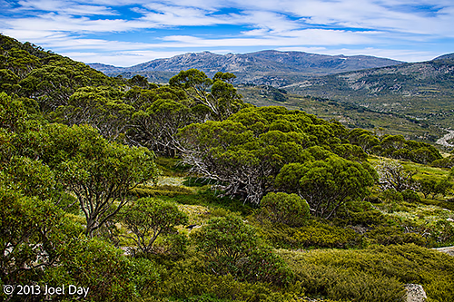Mount Kosciuszko National Park, New South Wales