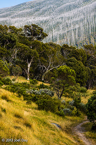 Mount Kosciuszko National Park, New South Wales