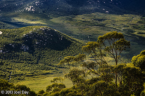 View of dense bushland from Mount Oberon Summit, Wilsons Promontory National Park, Victoria