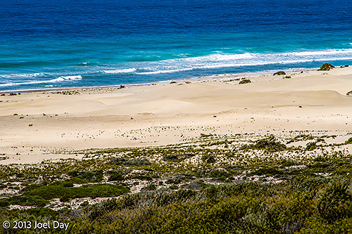 Southern Ocean and beaches near eastern end of the Great Australian Bight