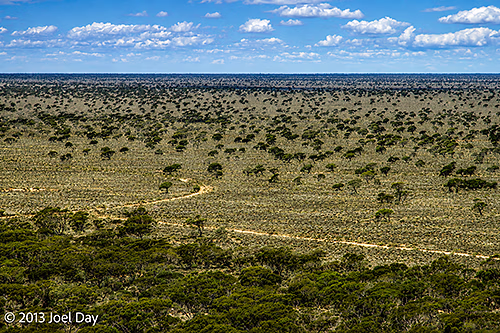 Nullarbor Plain