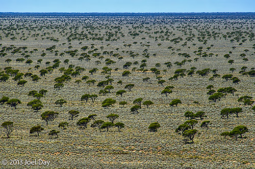Nullarbor Plain, Australia